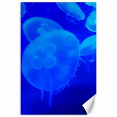 Blue Jellyfish 1 Canvas 24  X 36  by trendistuff