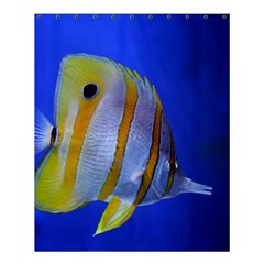 Butterfly Fish 1 Shower Curtain 60  X 72  (medium)  by trendistuff