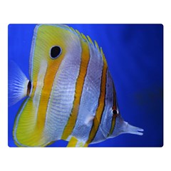 Butterfly Fish 1 Double Sided Flano Blanket (large)  by trendistuff