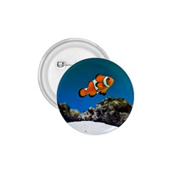 CLOWNFISH 1 1.75  Buttons