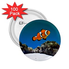 CLOWNFISH 1 2.25  Buttons (100 pack) 