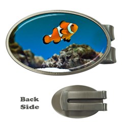 CLOWNFISH 1 Money Clips (Oval) 