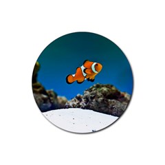 Clownfish 1 Rubber Round Coaster (4 Pack)  by trendistuff