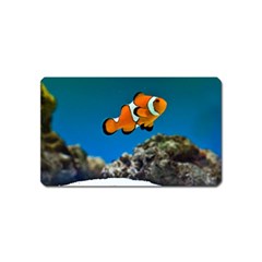 CLOWNFISH 1 Magnet (Name Card)