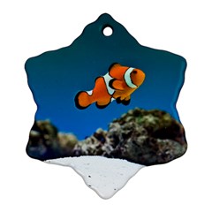 CLOWNFISH 1 Ornament (Snowflake)