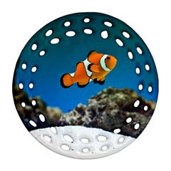 CLOWNFISH 1 Round Filigree Ornament (Two Sides)