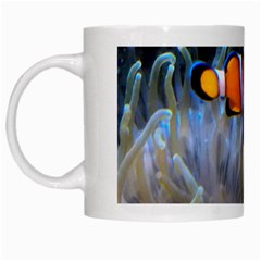 Clownfish 2 White Mugs
