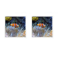 Clownfish 2 Cufflinks (square)