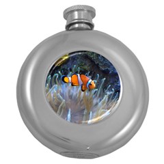 Clownfish 2 Round Hip Flask (5 Oz) by trendistuff