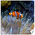 CLOWNFISH 2 Canvas 12  x 12   11.4 x11.56  Canvas - 1