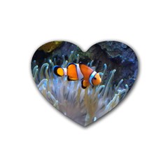 Clownfish 2 Rubber Coaster (heart)  by trendistuff