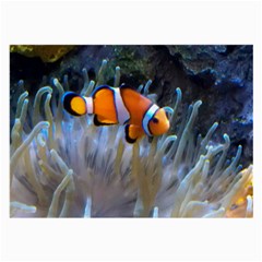 Clownfish 2 Large Glasses Cloth (2-side) by trendistuff