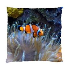 Clownfish 2 Standard Cushion Case (one Side) by trendistuff