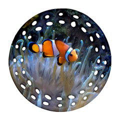 Clownfish 2 Ornament (round Filigree) by trendistuff
