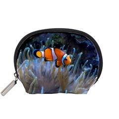 Clownfish 2 Accessory Pouches (small)  by trendistuff