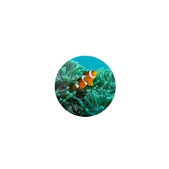 Clownfish 3 1  Mini Buttons by trendistuff