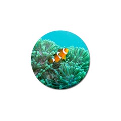 Clownfish 3 Golf Ball Marker (10 Pack) by trendistuff