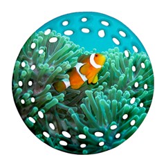 Clownfish 3 Ornament (round Filigree) by trendistuff