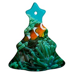 Clownfish 3 Christmas Tree Ornament (two Sides) by trendistuff