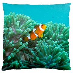 Clownfish 3 Large Flano Cushion Case (two Sides) by trendistuff