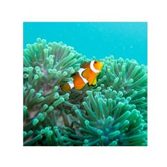 Clownfish 3 Small Satin Scarf (square) by trendistuff