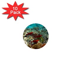 CORAL GARDEN 1 1  Mini Buttons (10 pack) 