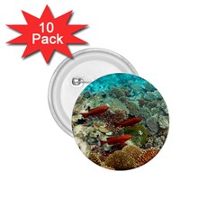 CORAL GARDEN 1 1.75  Buttons (10 pack)