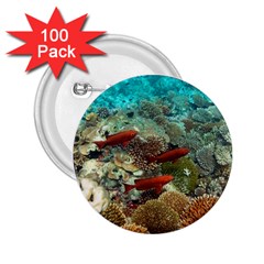 CORAL GARDEN 1 2.25  Buttons (100 pack) 