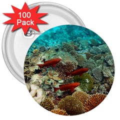 CORAL GARDEN 1 3  Buttons (100 pack) 