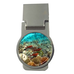 CORAL GARDEN 1 Money Clips (Round) 