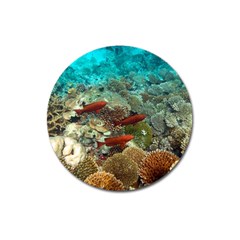 CORAL GARDEN 1 Magnet 3  (Round)