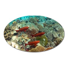 CORAL GARDEN 1 Oval Magnet