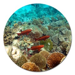 CORAL GARDEN 1 Magnet 5  (Round)