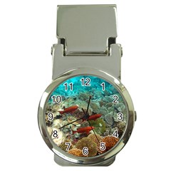 CORAL GARDEN 1 Money Clip Watches