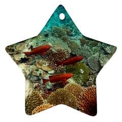 CORAL GARDEN 1 Star Ornament (Two Sides)