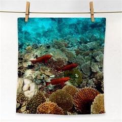 Coral Garden 1 Face Towel by trendistuff