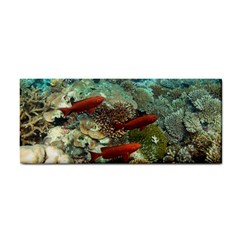 Coral Garden 1 Cosmetic Storage Cases by trendistuff