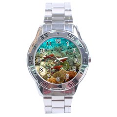 CORAL GARDEN 1 Stainless Steel Analogue Watch