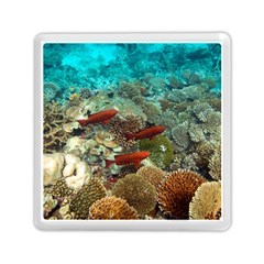 CORAL GARDEN 1 Memory Card Reader (Square) 