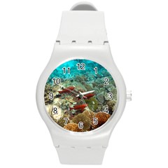 CORAL GARDEN 1 Round Plastic Sport Watch (M)