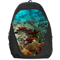 CORAL GARDEN 1 Backpack Bag