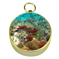 CORAL GARDEN 1 Gold Compasses