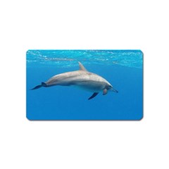 Dolphin 3 Magnet (name Card) by trendistuff
