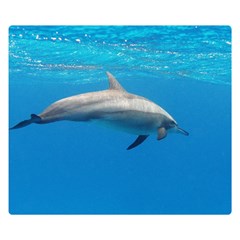 Dolphin 3 Double Sided Flano Blanket (small)  by trendistuff