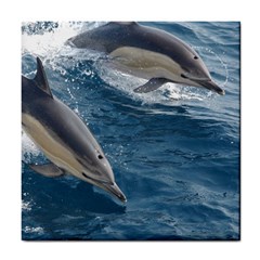 Dolphin 4 Tile Coasters by trendistuff