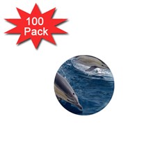 Dolphin 4 1  Mini Magnets (100 Pack)  by trendistuff