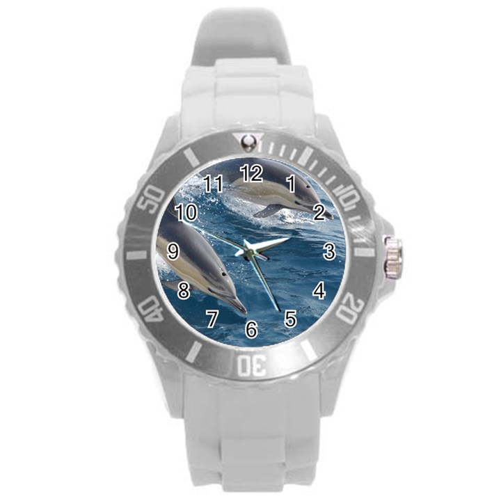 DOLPHIN 4 Round Plastic Sport Watch (L)