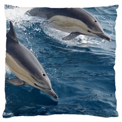 Dolphin 4 Large Cushion Case (one Side) by trendistuff