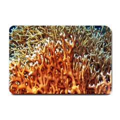 Fire Coral 1 Small Doormat  by trendistuff