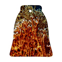 Fire Coral 1 Bell Ornament (two Sides) by trendistuff